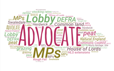 Disillusioned with the HLS extension process