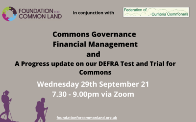 Watch our Commons Governance & Finance webinar