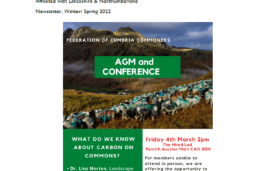 Read our winter newsletter